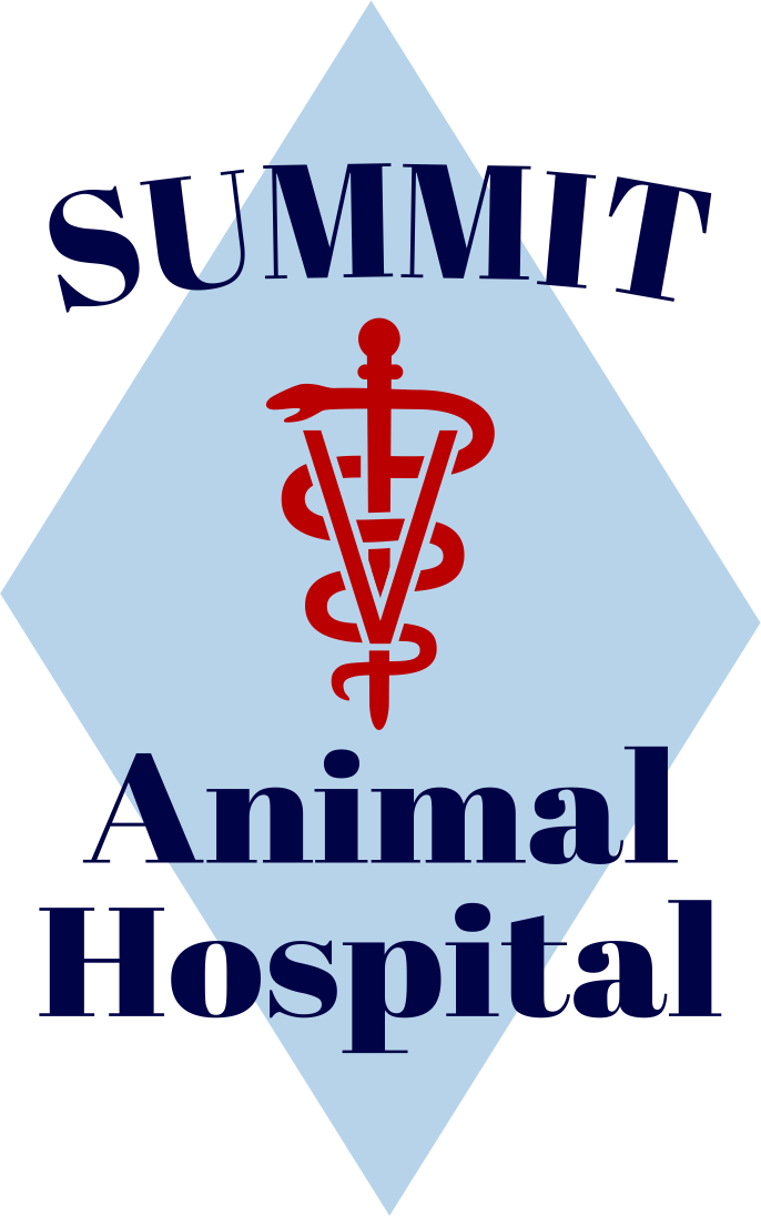 Summit AH logo 1