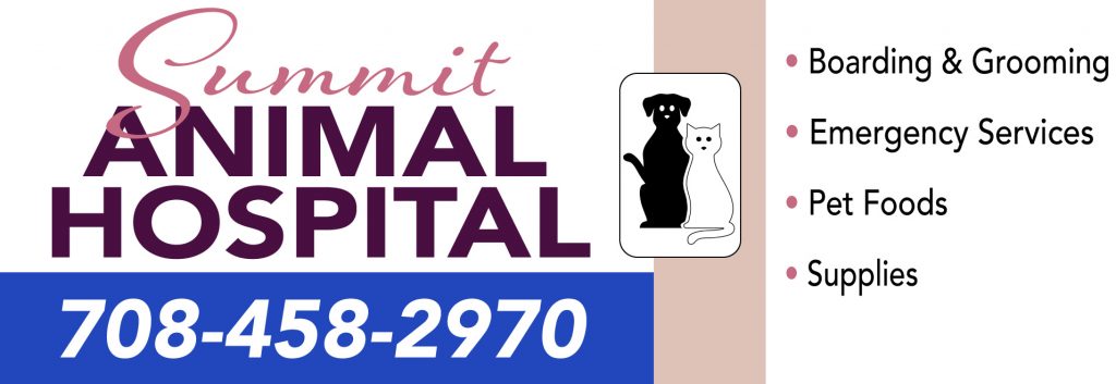 Veterinarian in Summit, IL | Summit Animal Hospital