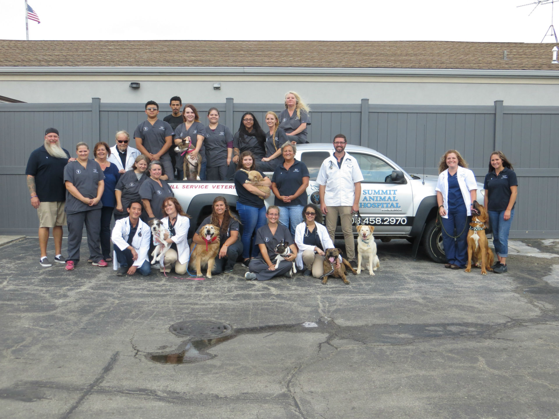 Our Team Summit Animal Hospital